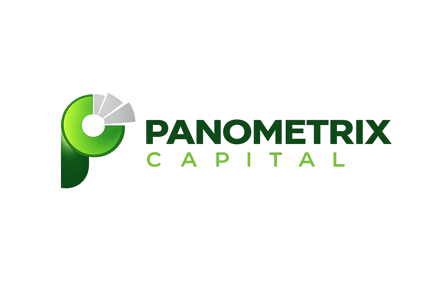 Panometrix Corporation Evolves Into Panometrix Capital